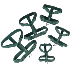 Nomad Tales Blush Sele, emerald
