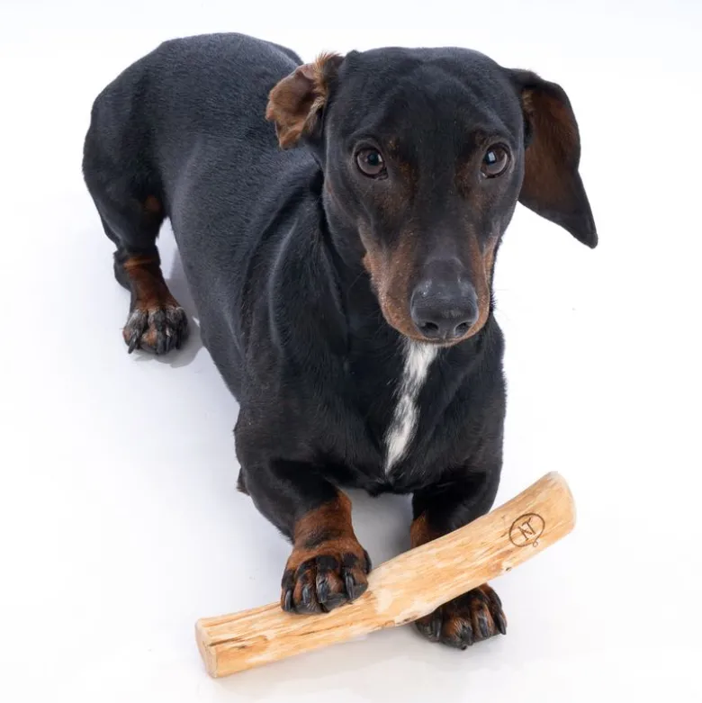 Nomad Tales Calma litchitræ til hunde