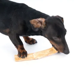 Nomad Tales Calma litchitræ til hunde