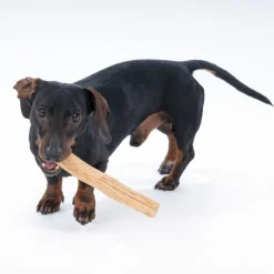 Nomad Tales Calma litchitræ til hunde