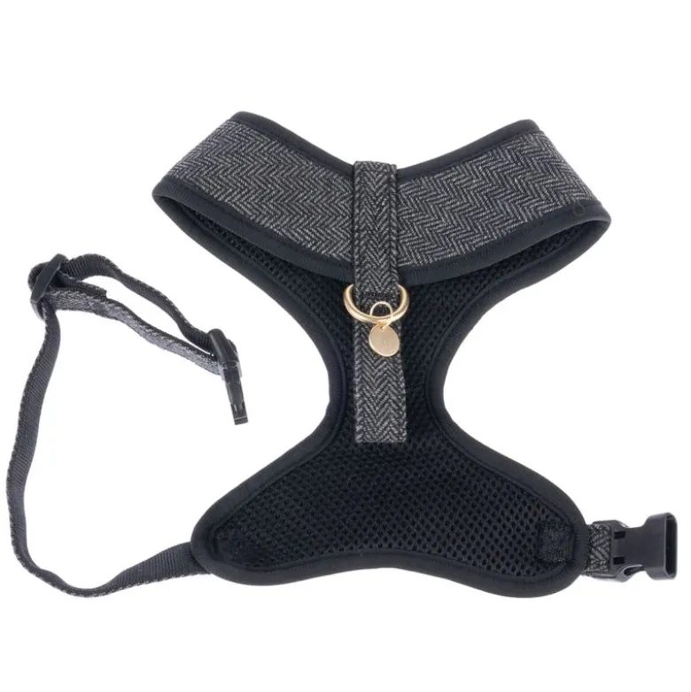 Nomad Tales Calma Sele, ebony