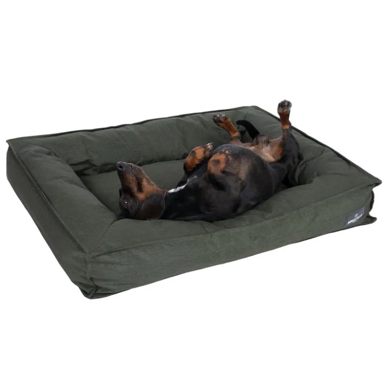 Nomad Tales Spirit Forest Night udendørs hundeseng