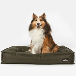 Nomad Tales Spirit Forest Night udendørs hundeseng