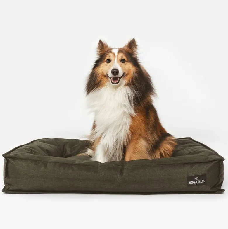 Nomad Tales Spirit Forest Night udendørs hundeseng