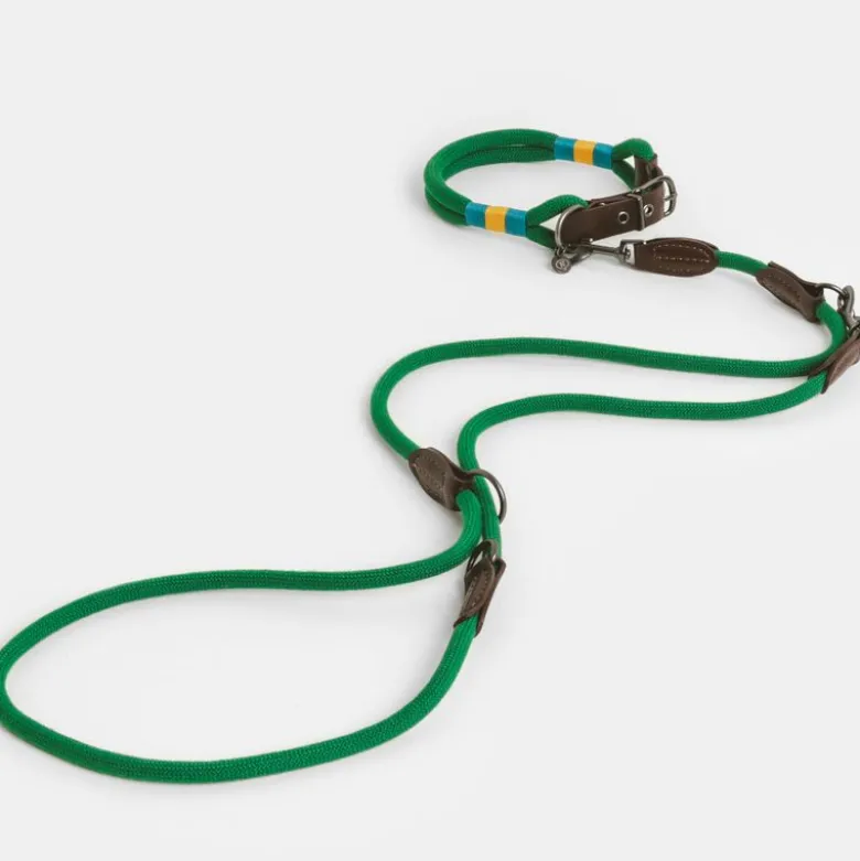 Nomad Tales Spirit Line, pine
