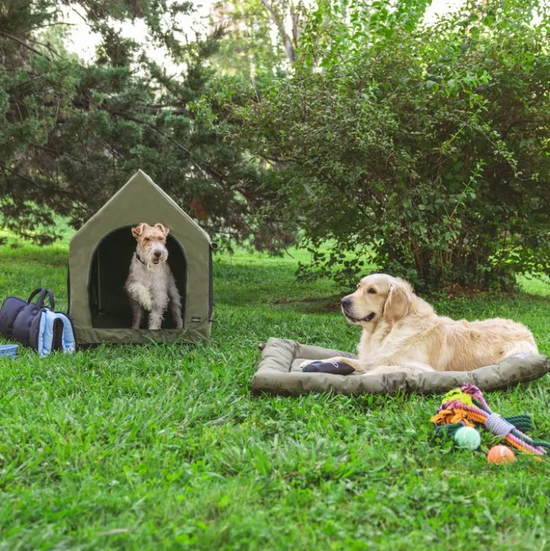 Nomad Tales Spirit Outdoor hundepude Pine