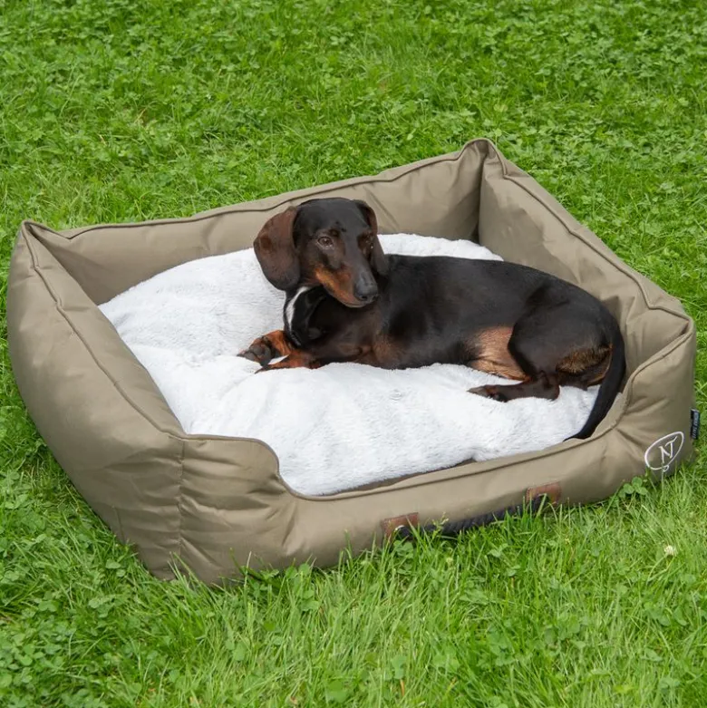 Nomad Tales Spirit Outdoor hundeseng Pine