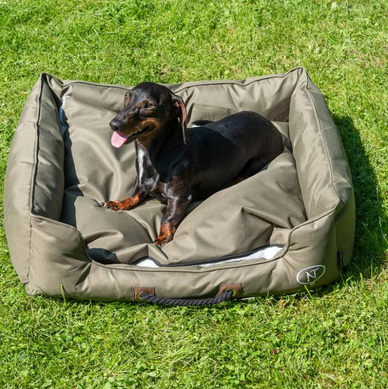 Nomad Tales Spirit Outdoor hundeseng Pine