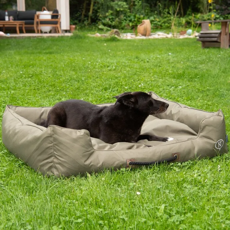 Nomad Tales Spirit Outdoor hundeseng Pine