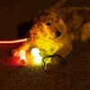 Nomad Tales Spirit USB LED-bold med reb