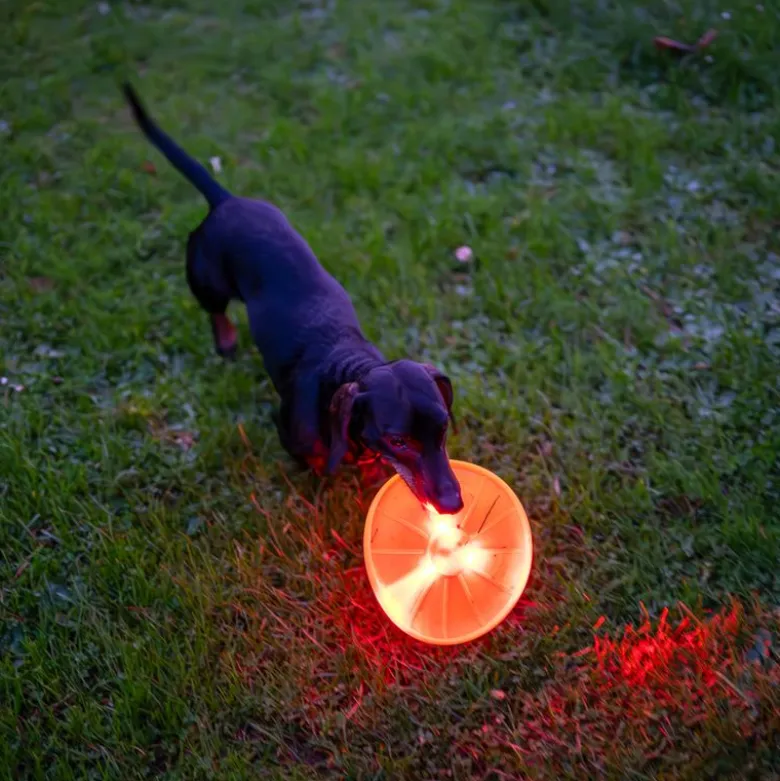 Nomad Tales Spirit USB LED Frisbee