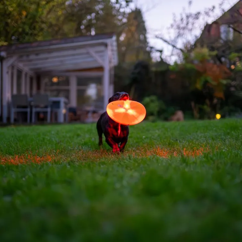 Nomad Tales Spirit USB LED Frisbee