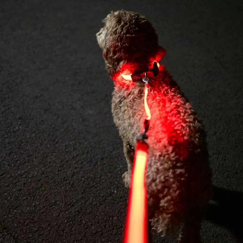 Nomad Tales Spirit USB LED joggingsnor orange