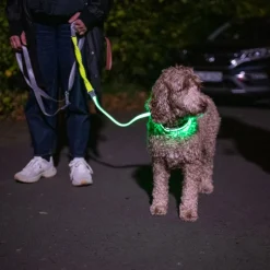 Nomad Tales Spirit USB LED joggingsnor neongul & grå
