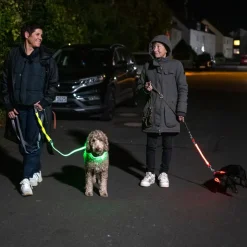 Nomad Tales Spirit USB LED joggingsnor neongul & grå