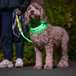 Nomad Tales Spirit USB LED joggingsnor neongul & grå