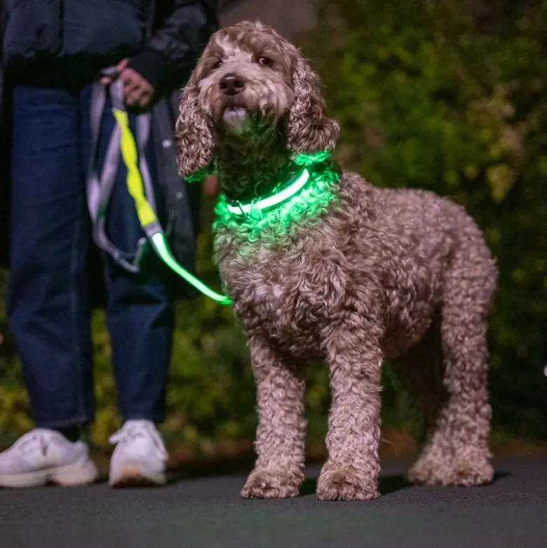 Nomad Tales Spirit USB LED joggingsnor neongul & grå