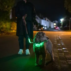 Nomad Tales Spirit USB LED nylonhalsbånd, neongul & grå