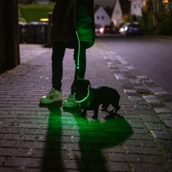 Nomad Tales Spirit USB LED nylonhalsbånd, neongul & grå