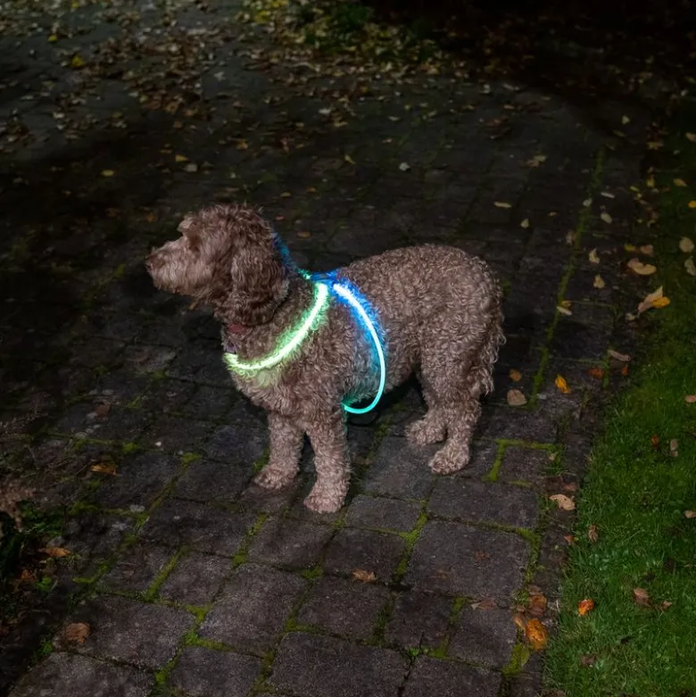 Nomad Tales Spirit USB LED-sele