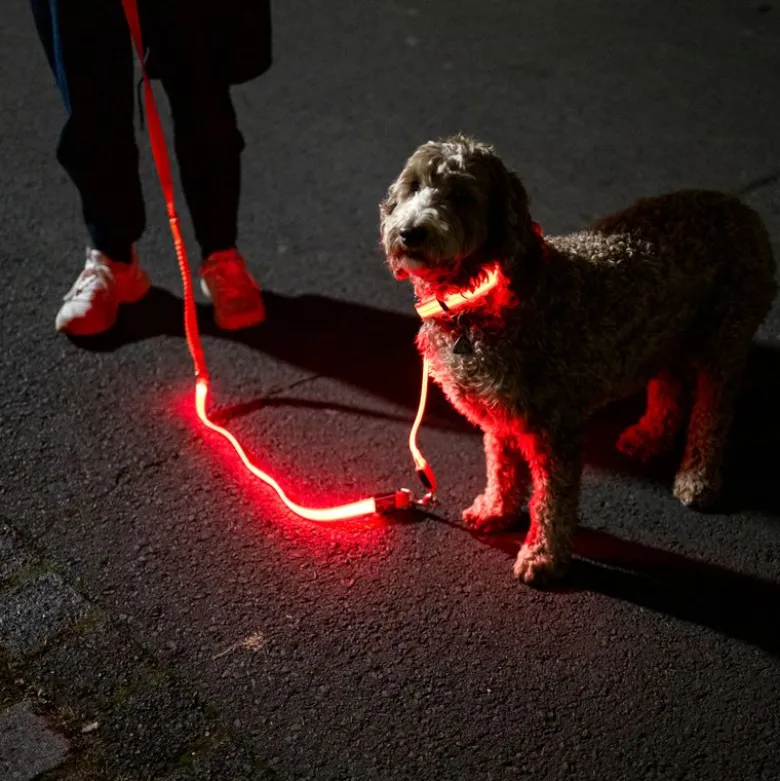 Nomad Tales Spirit USB LED-snorforlænger, orange