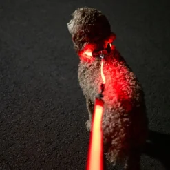 Nomad Tales Spirit USB LED-snorforlænger, orange