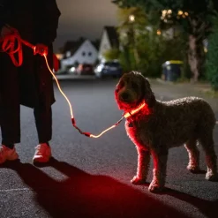 Nomad Tales Spirit USB LED-snorforlænger, orange