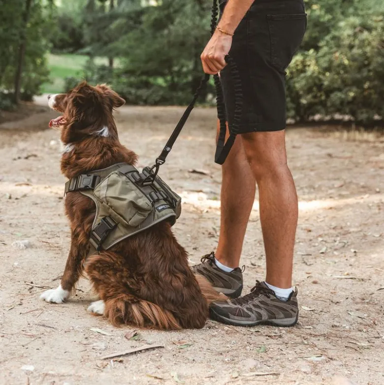 Nomad Tales Tactical hundesele
