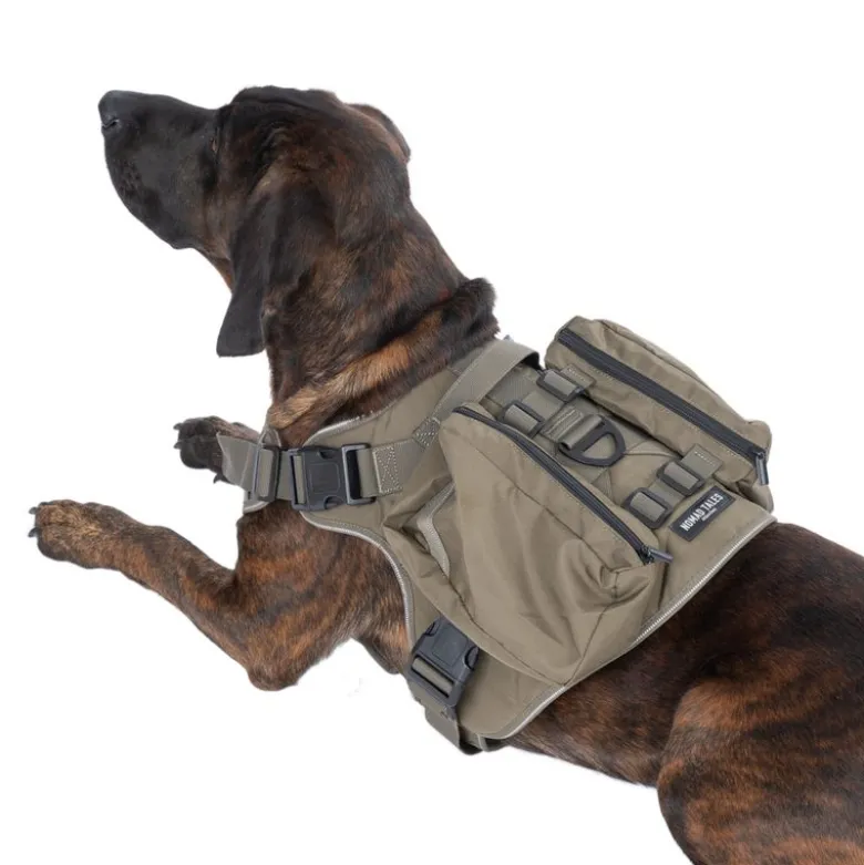 Nomad Tales Tactical hundesele