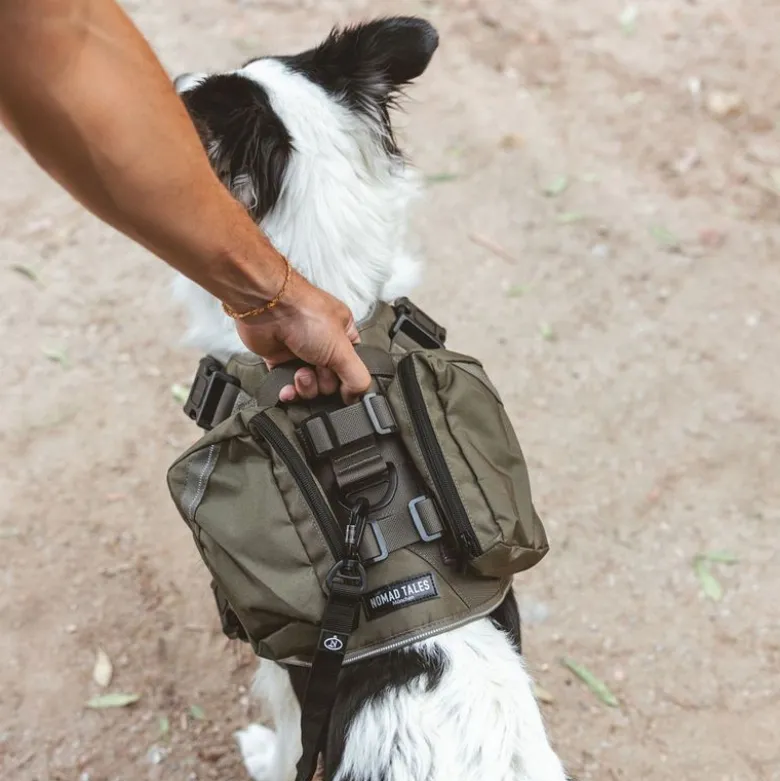 Nomad Tales Tactical hundesele