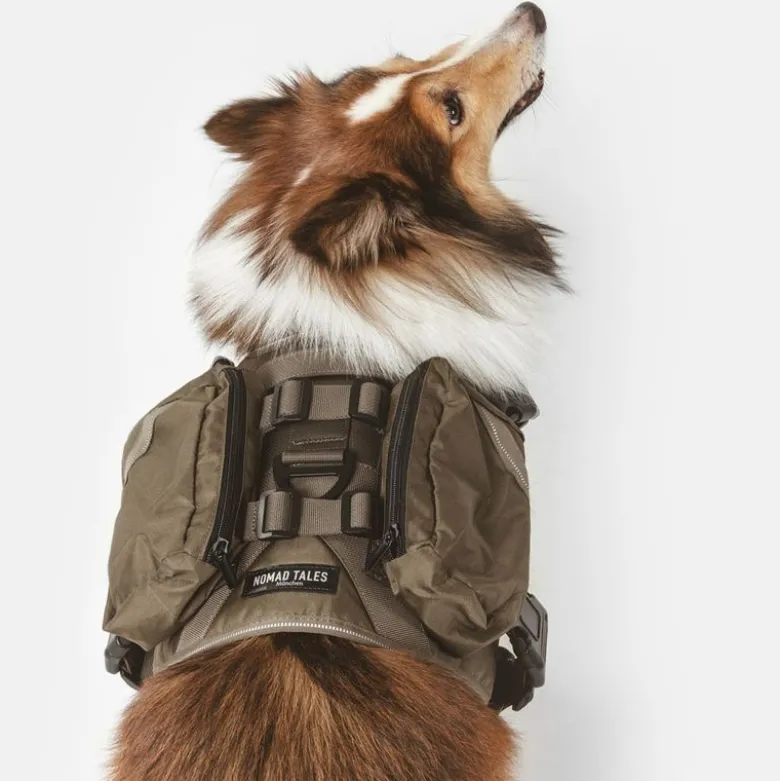 Nomad Tales Tactical hundesele