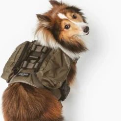 Nomad Tales Tactical hundesele