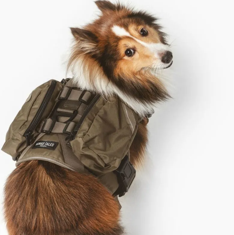 Nomad Tales Tactical hundesele