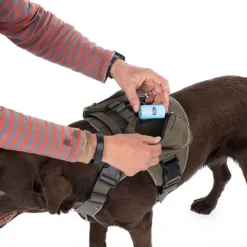 Nomad Tales Tactical hundesele