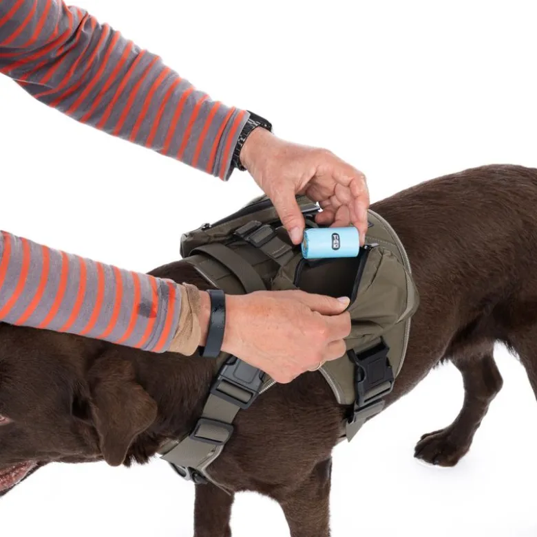 Nomad Tales Tactical hundesele