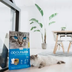 ODOURLOCK Kattegrus uden parfume