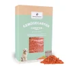 PAWS & PATCH Gemüsegarten Gulerodsflager