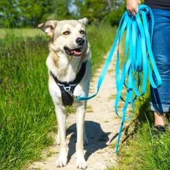 Pawz & Pepper Strong Sporline, blå