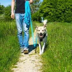 Pawz & Pepper Strong Sporline, blå
