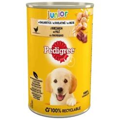 Pedigree Junior