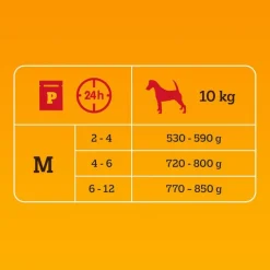 Pedigree Junior portionsposer blandet pakke