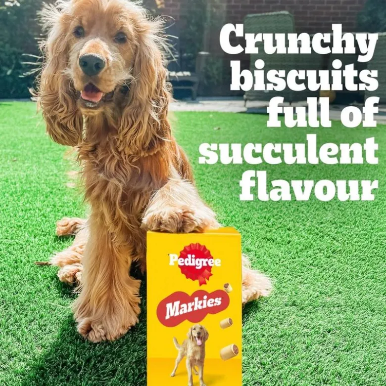 Pedigree Markies