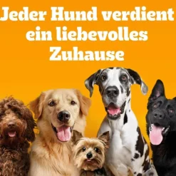 Pedigree Professional Nutrition Adult med fjerkræ og grøntsager