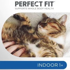 Perfect Fit Adult 1+ Indoor Kylling