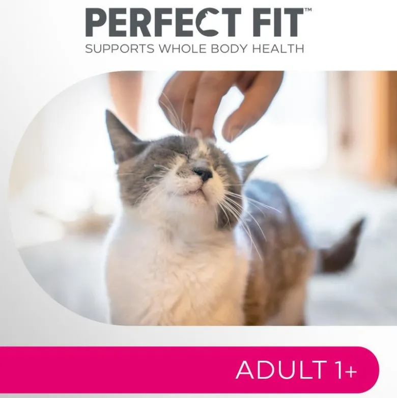 Perfect Fit Adult 1+ Laks