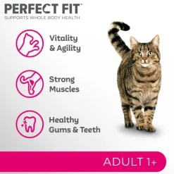 Perfect Fit Adult 1+ Laks
