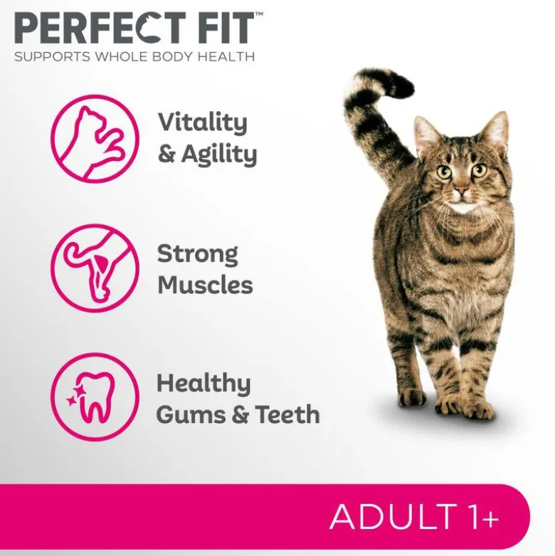 Perfect Fit Adult 1+ Laks