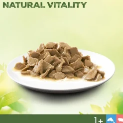 Perfect Fit Natural Vitality Adult 1+