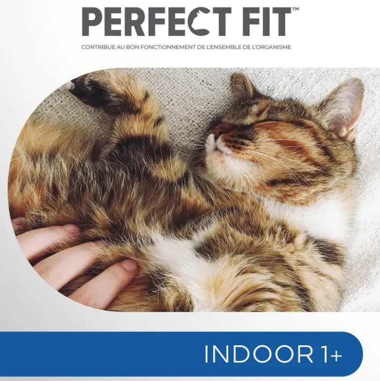 Perfect Fit Sterilised Indoor Adult 1+