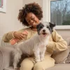 Pet Head Quick Fix Spray